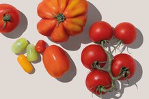 verschiedene Tomaten-Sorten | © Land schafft Leben
