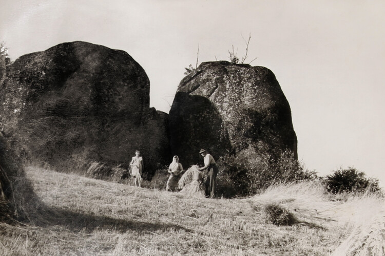 Getreideernte um 1960, Familie Huber, Königswiesen im Mühlviertel | © Land schafft Leben