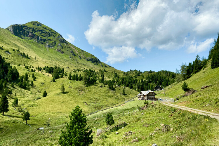 Alm in den Nockbergen, Kärnten (2024) | © Timo Küntzle