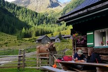 Touristen essen auf Almhütte mit Kuh | © Land schafft Leben