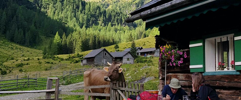 Touristen essen auf Almhütte mit Kuh | © Land schafft Leben