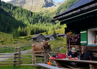 Touristen essen auf Almhütte mit Kuh | © Land schafft Leben
