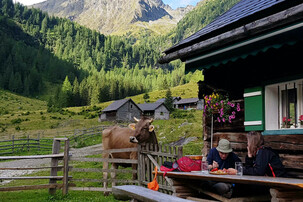 Touristen essen auf Almhütte mit Kuh | © Land schafft Leben