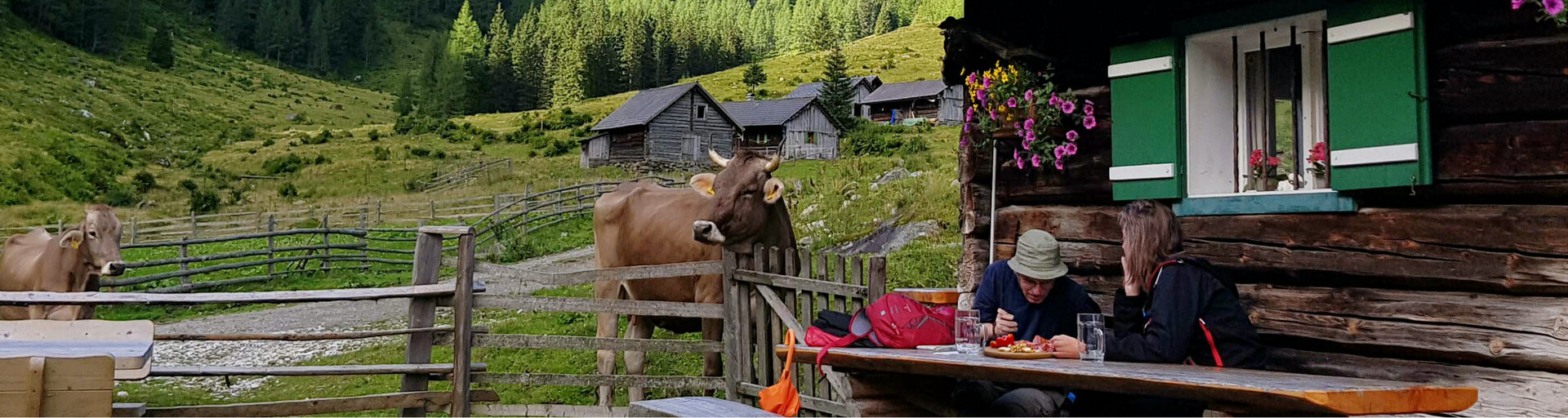 Touristen essen auf Almhütte mit Kuh | © Land schafft Leben