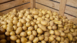 Kiste voller Kartoffeln | © Land schafft Leben