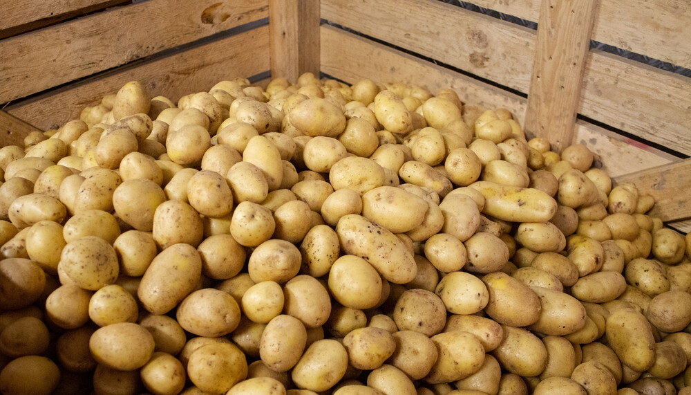 Kiste voller Kartoffeln | © Land schafft Leben