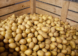 Kiste voller Kartoffeln | © Land schafft Leben