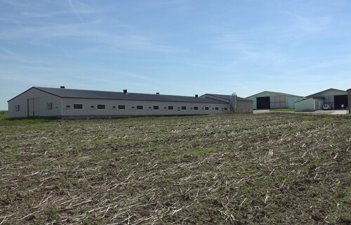 puten stall | © Land schafft Leben, 2016 puten stall | © Land schafft Leben, 2016