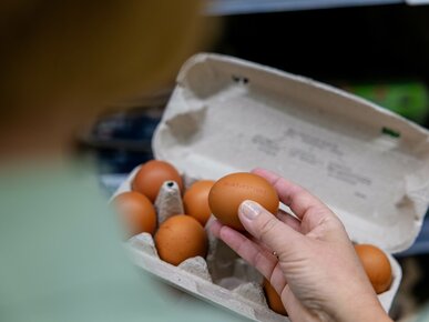 Eierkarton im Supermarkt | © Land schafft Leben